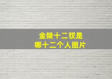 金陵十二钗是哪十二个人图片