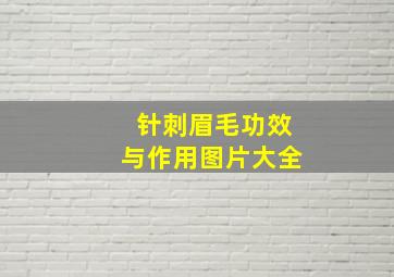 针刺眉毛功效与作用图片大全