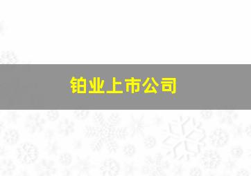 铂业上市公司