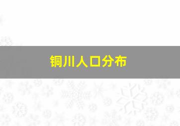 铜川人口分布