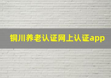 铜川养老认证网上认证app