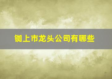 铷上市龙头公司有哪些