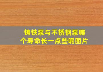 铸铁泵与不锈钢泵哪个寿命长一点些呢图片