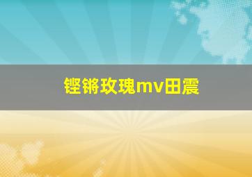 铿锵玫瑰mv田震