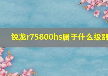 锐龙r75800hs属于什么级别