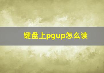 键盘上pgup怎么读