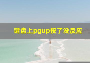 键盘上pgup按了没反应