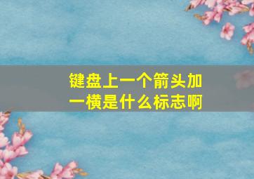 键盘上一个箭头加一横是什么标志啊