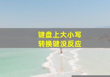 键盘上大小写转换键没反应