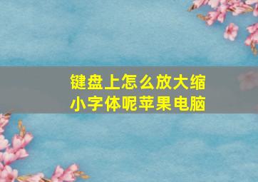 键盘上怎么放大缩小字体呢苹果电脑