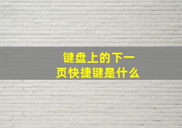 键盘上的下一页快捷键是什么