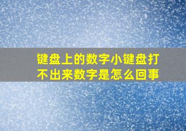 键盘上的数字小键盘打不出来数字是怎么回事