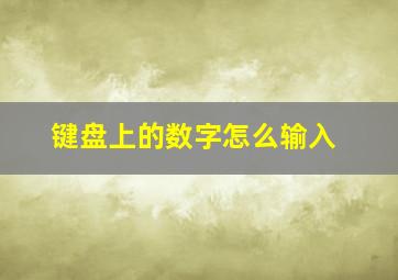 键盘上的数字怎么输入