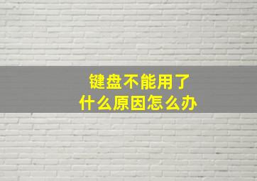 键盘不能用了什么原因怎么办