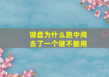 键盘为什么跑中间去了一个键不能用