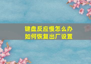 键盘反应慢怎么办如何恢复出厂设置