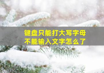 键盘只能打大写字母不能输入文字怎么了