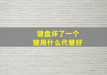 键盘坏了一个键用什么代替好