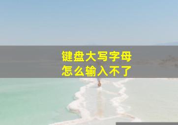 键盘大写字母怎么输入不了