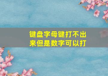 键盘字母键打不出来但是数字可以打