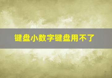 键盘小数字键盘用不了