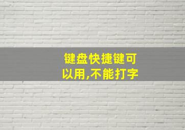 键盘快捷键可以用,不能打字