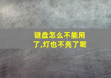 键盘怎么不能用了,灯也不亮了呢