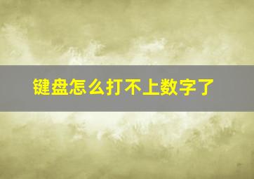 键盘怎么打不上数字了