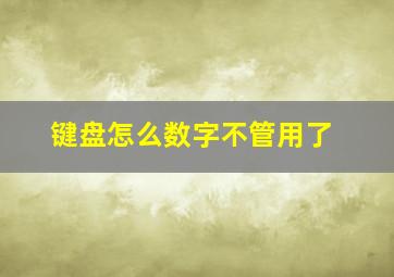 键盘怎么数字不管用了