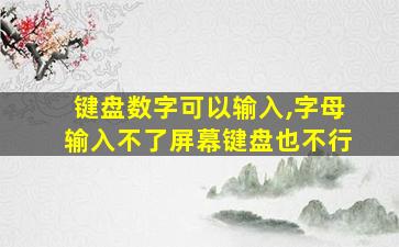 键盘数字可以输入,字母输入不了屏幕键盘也不行