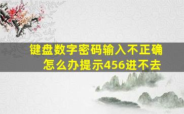 键盘数字密码输入不正确怎么办提示456进不去