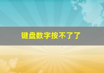 键盘数字按不了了