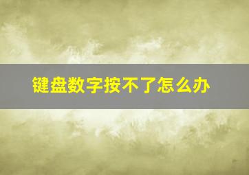 键盘数字按不了怎么办