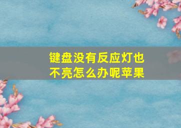 键盘没有反应灯也不亮怎么办呢苹果