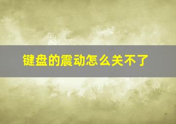 键盘的震动怎么关不了