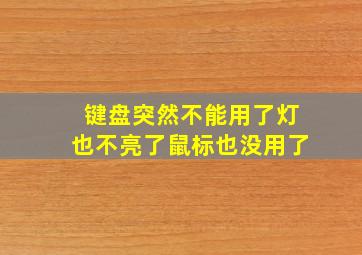 键盘突然不能用了灯也不亮了鼠标也没用了