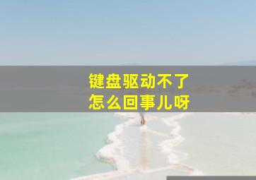 键盘驱动不了怎么回事儿呀