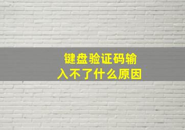 键盘验证码输入不了什么原因