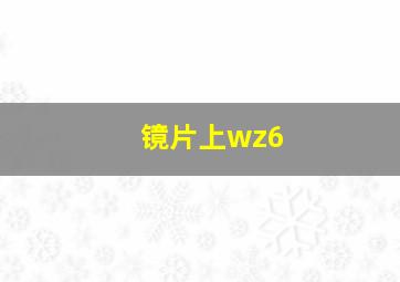 镜片上wz6