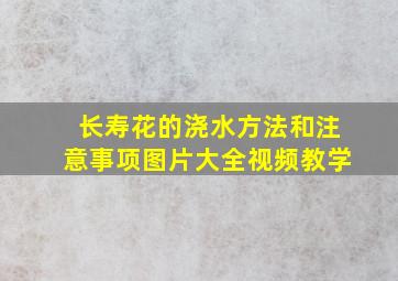 长寿花的浇水方法和注意事项图片大全视频教学