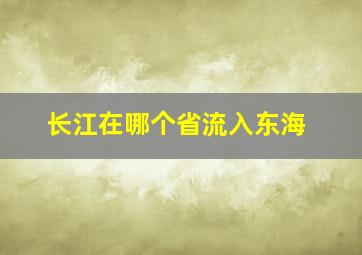 长江在哪个省流入东海