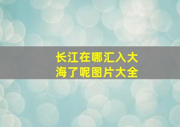 长江在哪汇入大海了呢图片大全