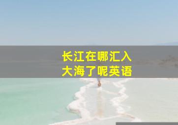 长江在哪汇入大海了呢英语