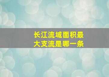 长江流域面积最大支流是哪一条