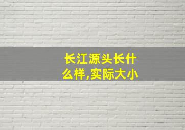 长江源头长什么样,实际大小