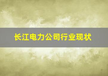 长江电力公司行业现状