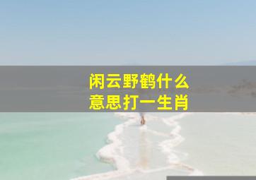 闲云野鹤什么意思打一生肖