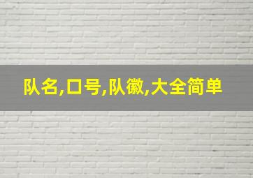 队名,口号,队徽,大全简单