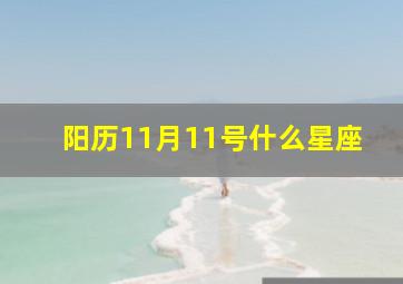 阳历11月11号什么星座