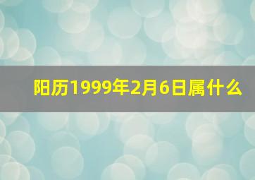 阳历1999年2月6日属什么